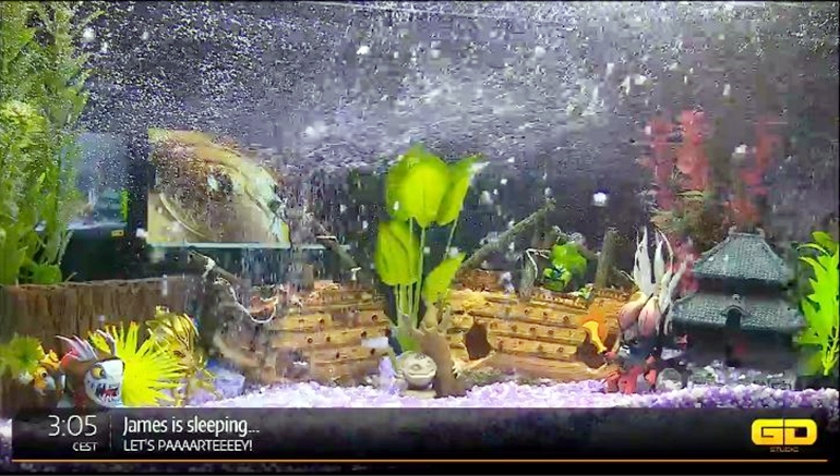 TI5 Hub Mango Stream fish tank